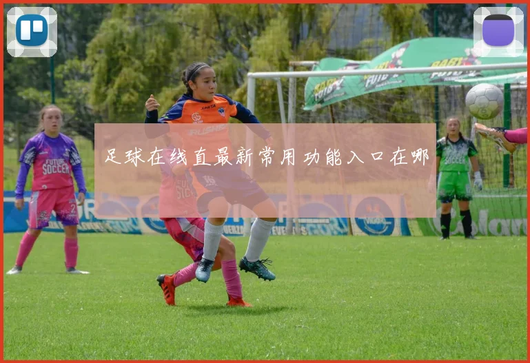 足球在线直最新常用功能入口在哪
