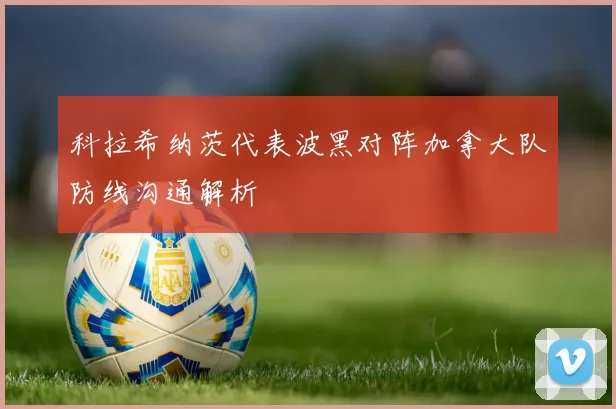科拉希纳茨代表波黑对阵加拿大队防线沟通解析