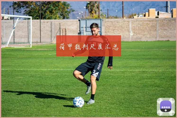 荷甲裁判尺度汇总