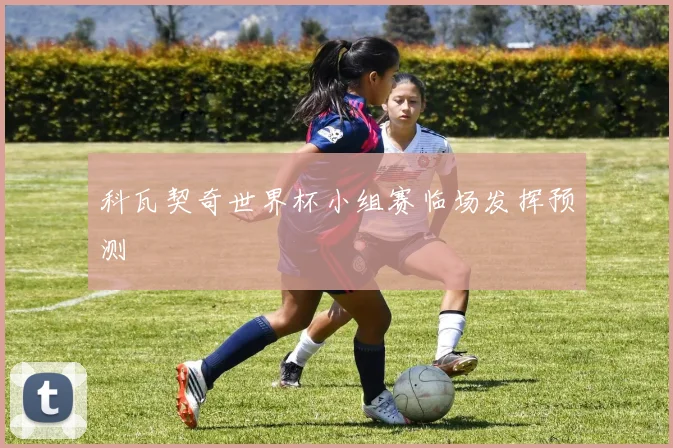 科瓦契奇世界杯小组赛临场发挥预测