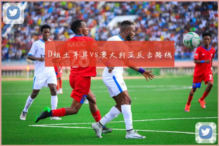 D组土耳其vs澳大利亚反击路线