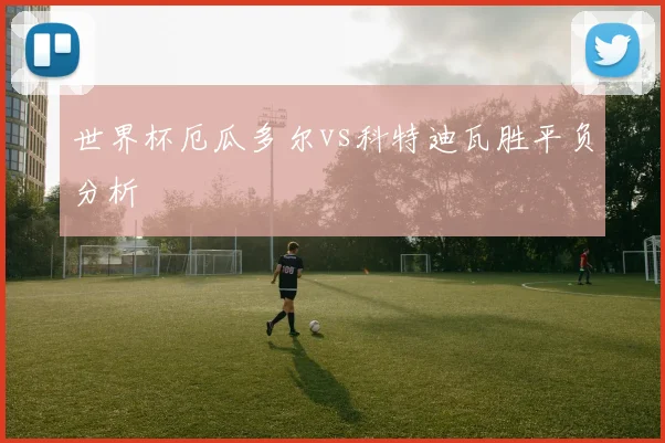 世界杯厄瓜多尔vs科特迪瓦胜平负分析